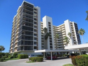 Surf Colony-10