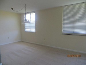 Surf Colony-15
