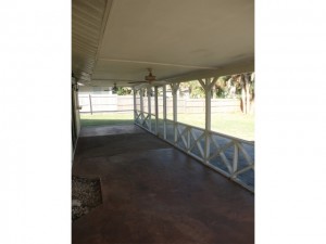 Quails Walk-7