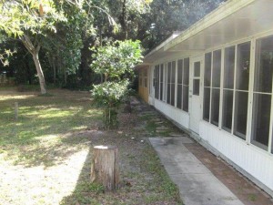 Bonita Duplex-105