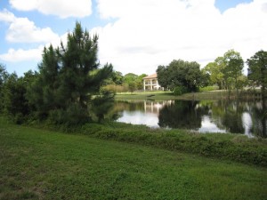 Pine Ridge Foreclosure-2009