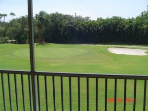 Rosewood Point-5