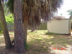Tarpon Duplex-6