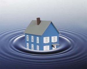 Flood Zone-Logo-2