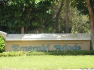 Emerald Woods-302